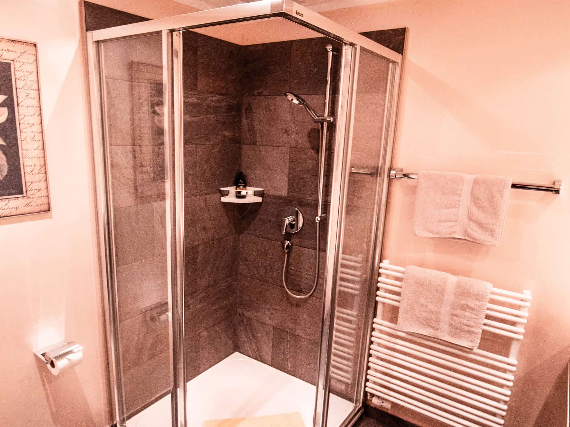 Alpenkoenig Zimmer Doppel Standard Badezimmer Dusche Ansicht-2