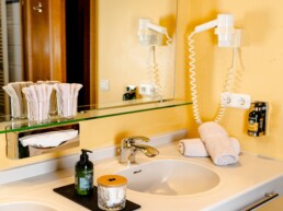 alpenkoenig komfort einzelzimmer ansicht bad waschtisch nah