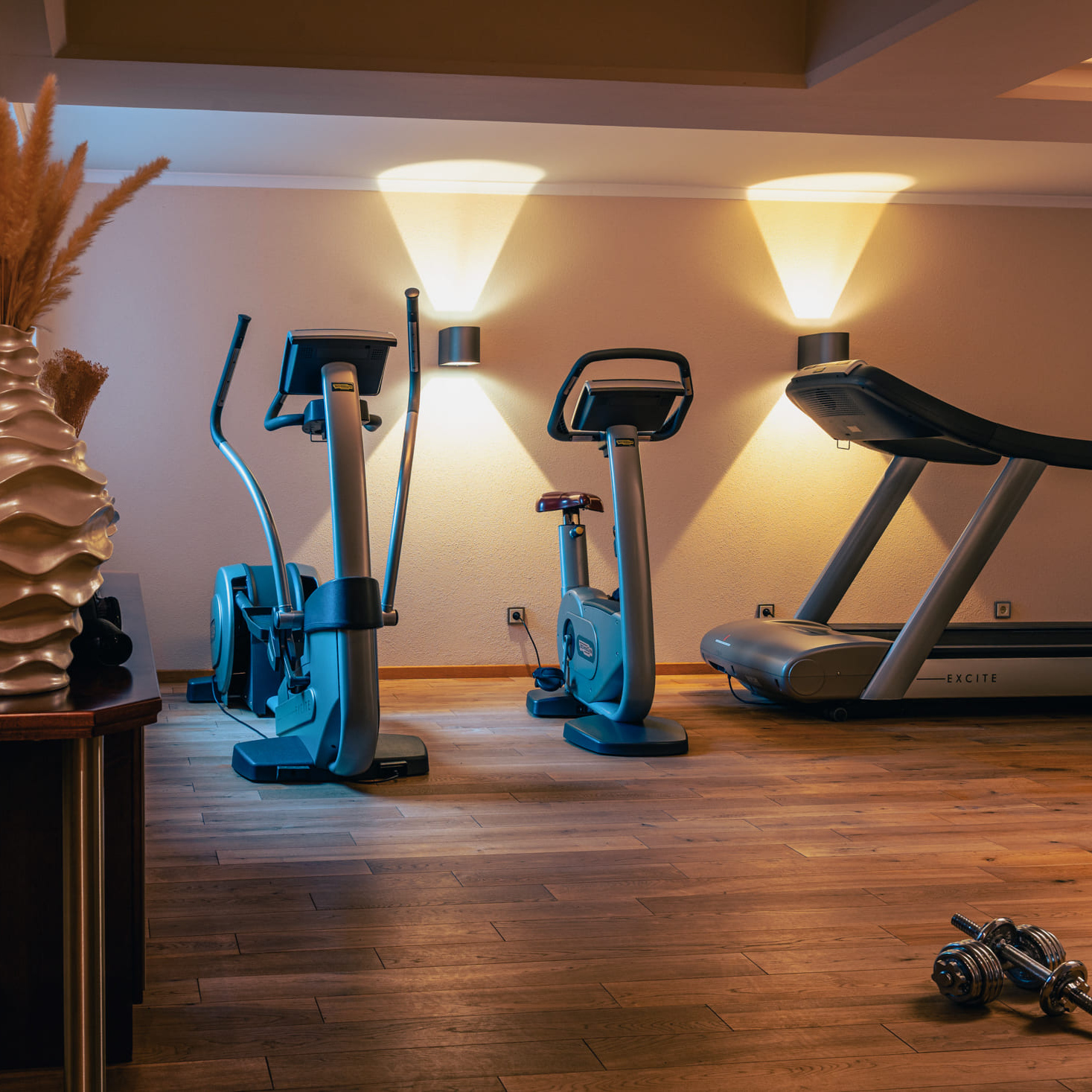 Fitnessraum_Alpenkoenig_Spa